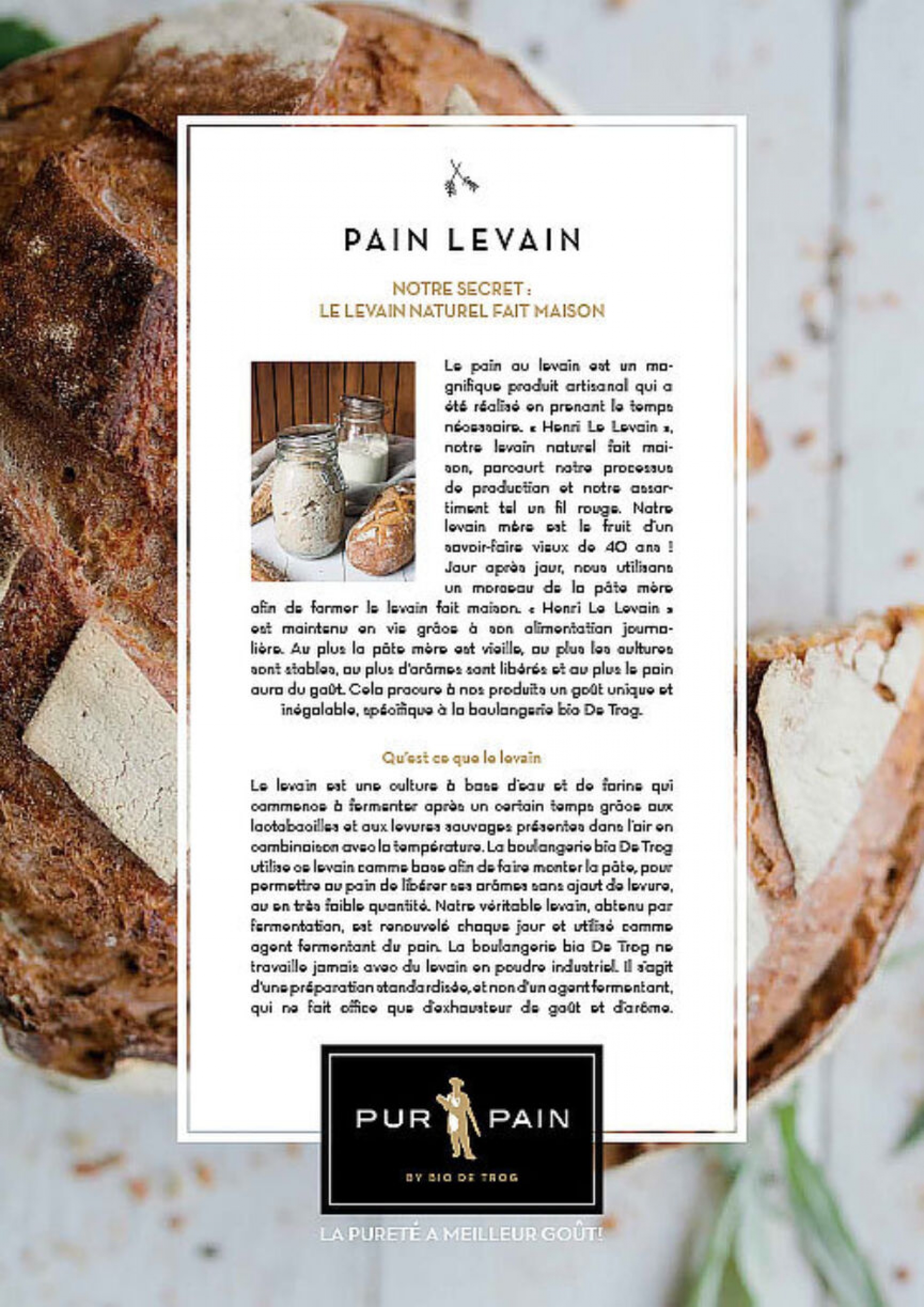 Pain-Levain-FR_9e00656039b9bb4955a23600248761fc.jpg